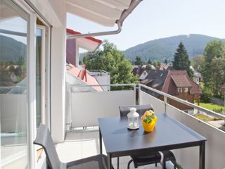Ferienwohnung Titisee-Neustadt braviscasa GmbH - Ferienhaus Titisee tableau 2