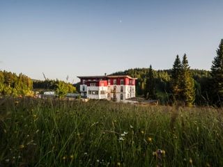Hotel Todtnau **** Waldhotel am Notschrei tableau 1